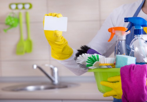 Professional pet stain odour removal in a Gidea Park living room