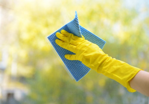 Professional carpet cleaning in a Gidea Park home