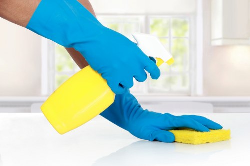 Cleaning equipment in use with attention to electrical and moisture safety