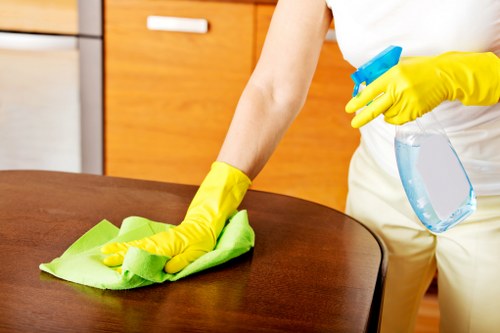 Technician treating stains on a sofa in Gidea Park home